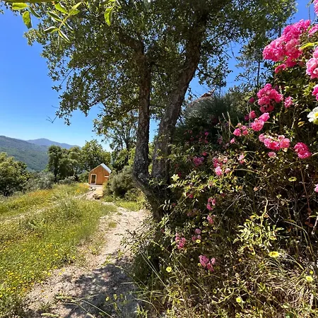 Ferienhaus Monkey Tiny Barnhouse With Amazing Views At Zevariclub! Folhadosa