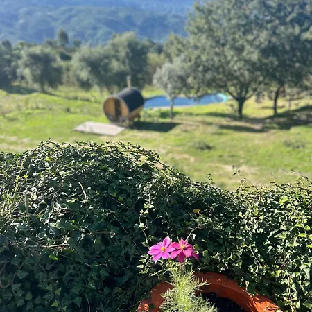 Monkey Tiny Barnhouse With Amazing Views At Zevariclub! *