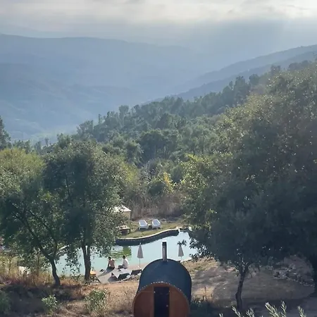 度假居 Monkey Tiny Barnhouse With Amazing Views At Zevariclub!