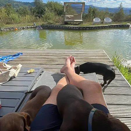 Monkey Tiny Barnhouse With Amazing Views At Zevariclub! *