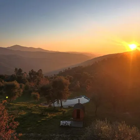 Monkey Tiny Barnhouse With Amazing Views At Zevariclub! *