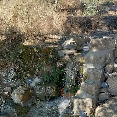 Monkey Tiny Barnhouse With Amazing Views At Zevariclub!