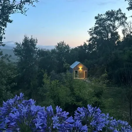 Monkey Tiny Barnhouse With Amazing Views At Zevariclub!
