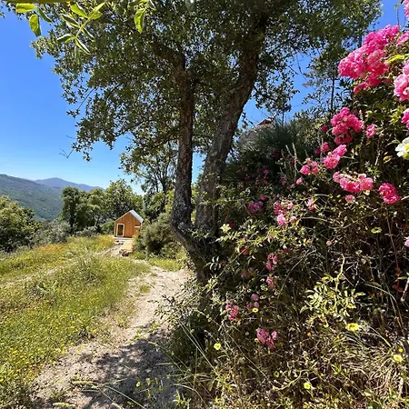 Monkey Tiny Barnhouse With Amazing Views At Zevariclub! Σπίτι διακοπών