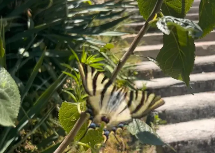 Monkey Tiny Barnhouse With Amazing Views At Zevariclub! Casa de Férias *
