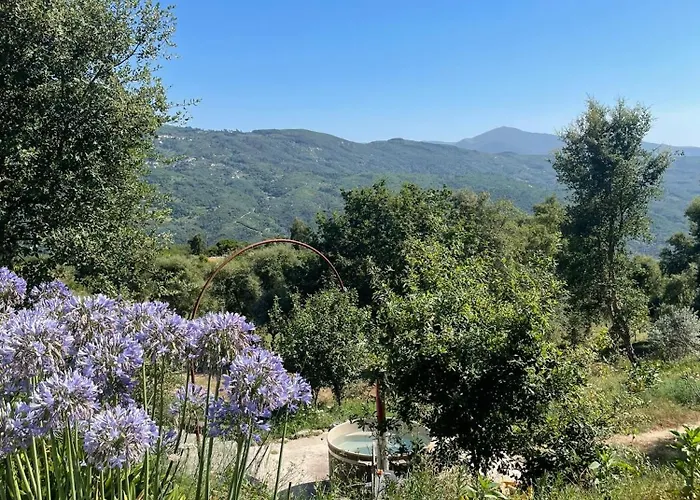 Monkey Tiny Barnhouse With Amazing Views At Zevariclub! Casa de Férias