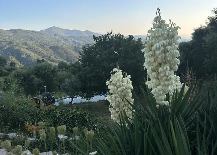 בית נופש Monkey Tiny Barnhouse With Amazing Views At Zevariclub! *