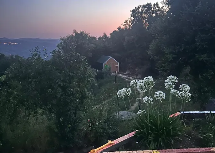 Monkey Tiny Barnhouse With Amazing Views At Zevariclub! Casa de Férias Folhadosa