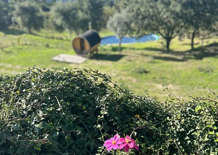 Monkey Tiny Barnhouse With Amazing Views At Zevariclub! *