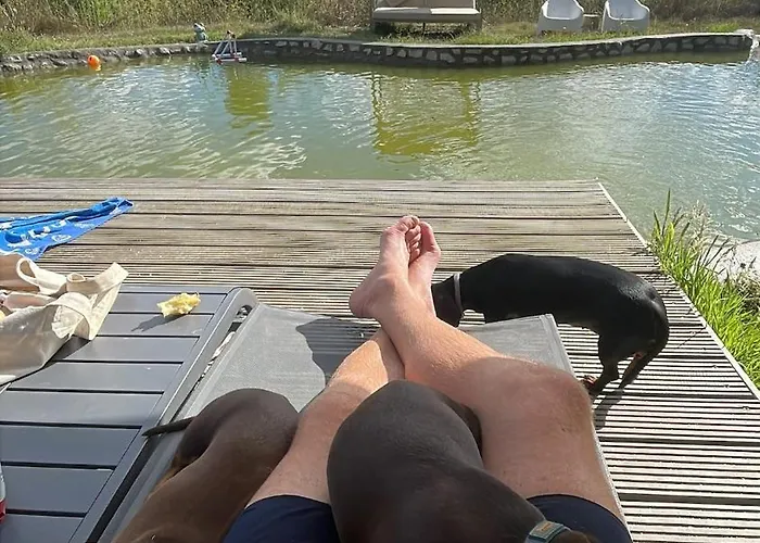 Monkey Tiny Barnhouse With Amazing Views At Zevariclub! *