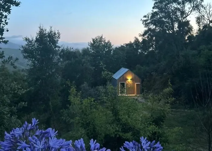 Monkey Tiny Barnhouse With Amazing Views At Zevariclub!